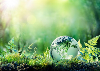 The Path to Sustainable Economic Growth in Vietnam