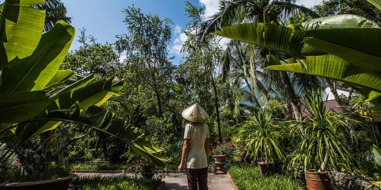 Vietnamese Farmers Struggle Amid Climate Change in Thua Thien Hue Province