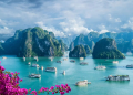 Vietnam Attracts Growing Interest from Global Travellers
