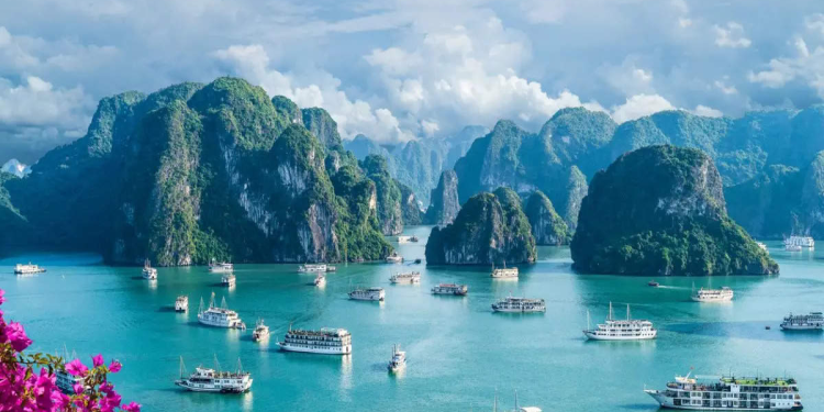 Vietnam Attracts Growing Interest from Global Travellers
